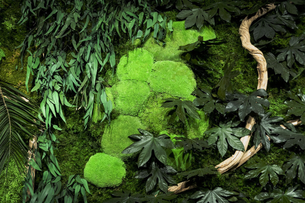 Détail mousse boule du tableau tropical végétal stabilisé réalisé pour l'entreprise Mimco Capital au Luxembourg