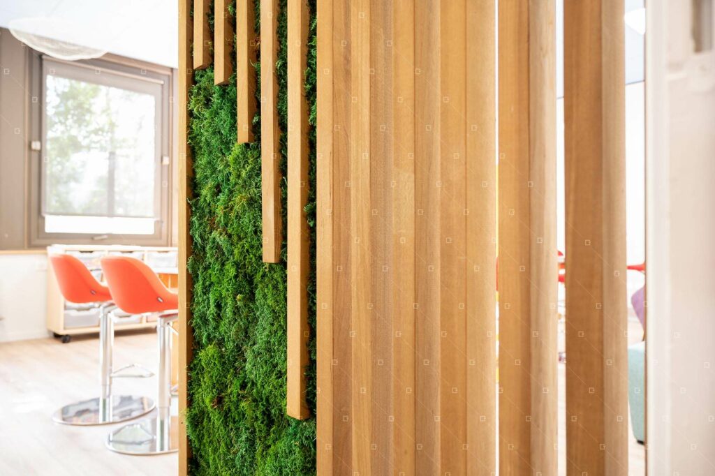 Cloison-Vegetale-Amenagement-Interieur-Ecole-Reims
