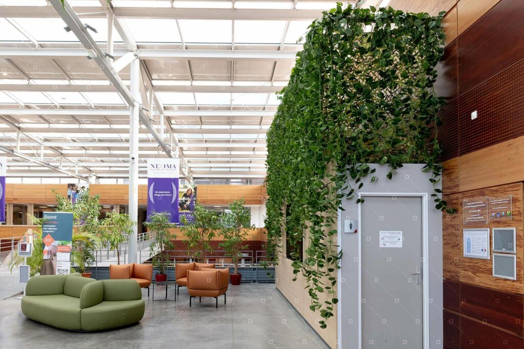 Mur-Vegetal-Artificiel-Chute-Vegetale-Synthetique-Sans-Entretien-France