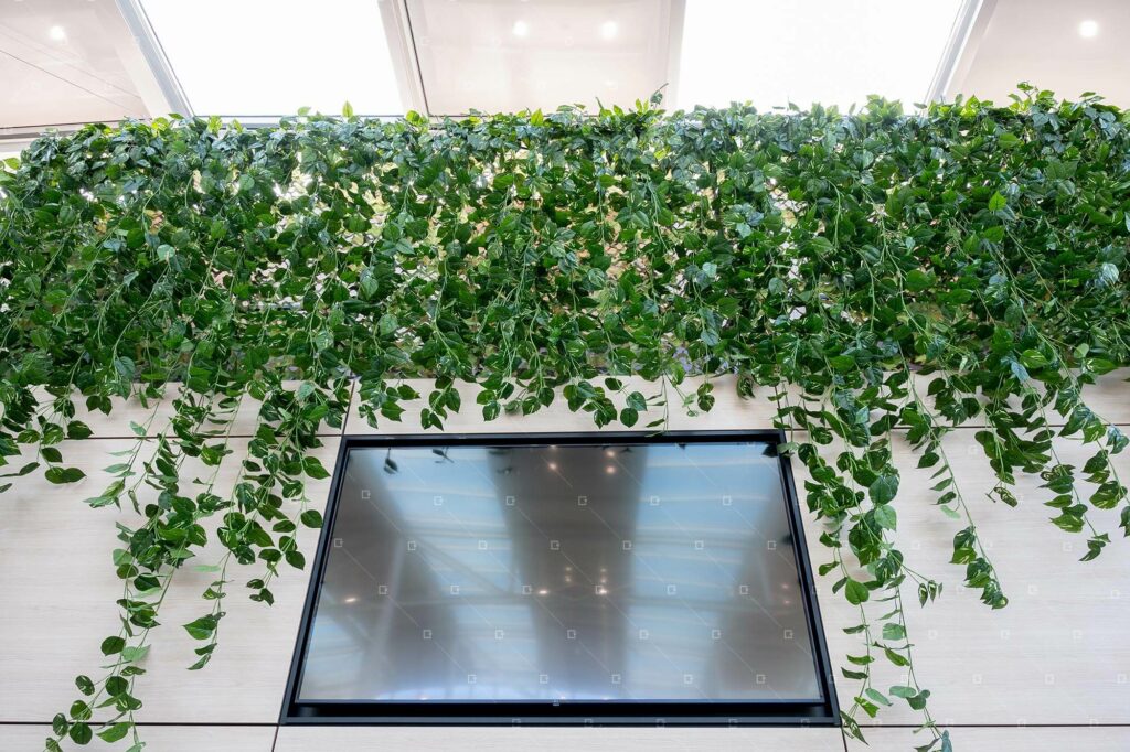 mur vegetal artificiel plantes retombantes school france