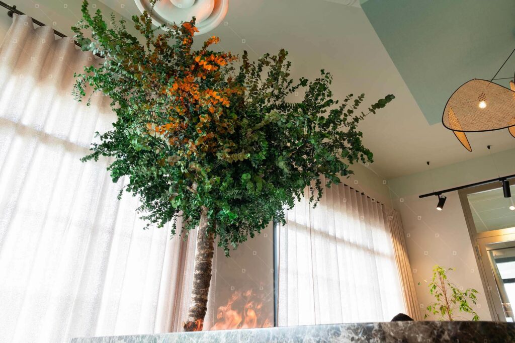 arbre decoratif interieur stabilise hotel france