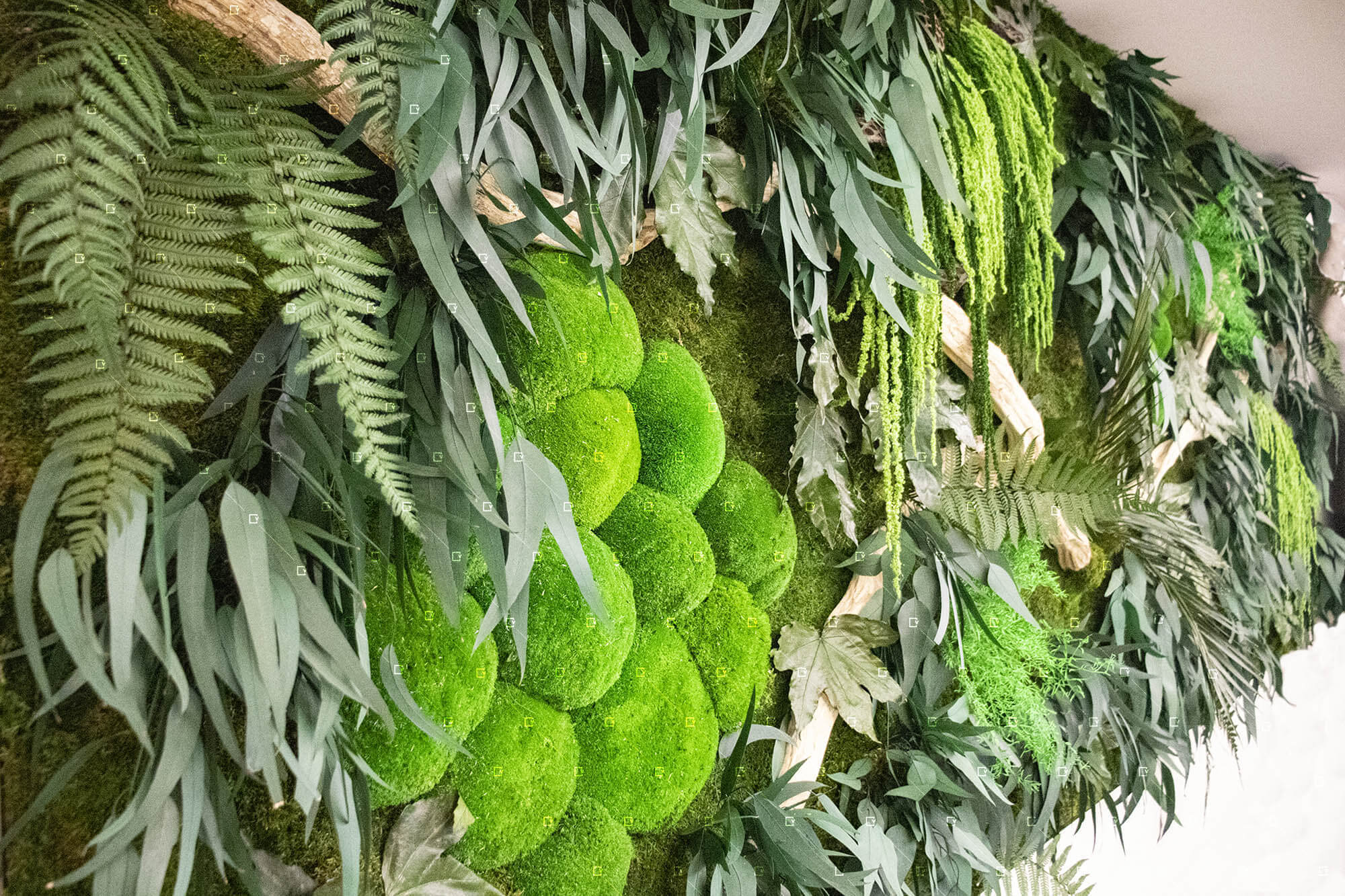 mur vegetal stabilise jungle entreprise restaurant