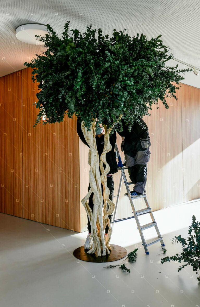 Arbre D Interieur Stabilise Entreprise France