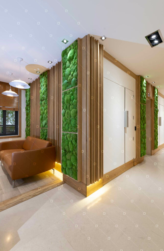 Mur Vegetal Acoustique Decoration Entreprise Banque France