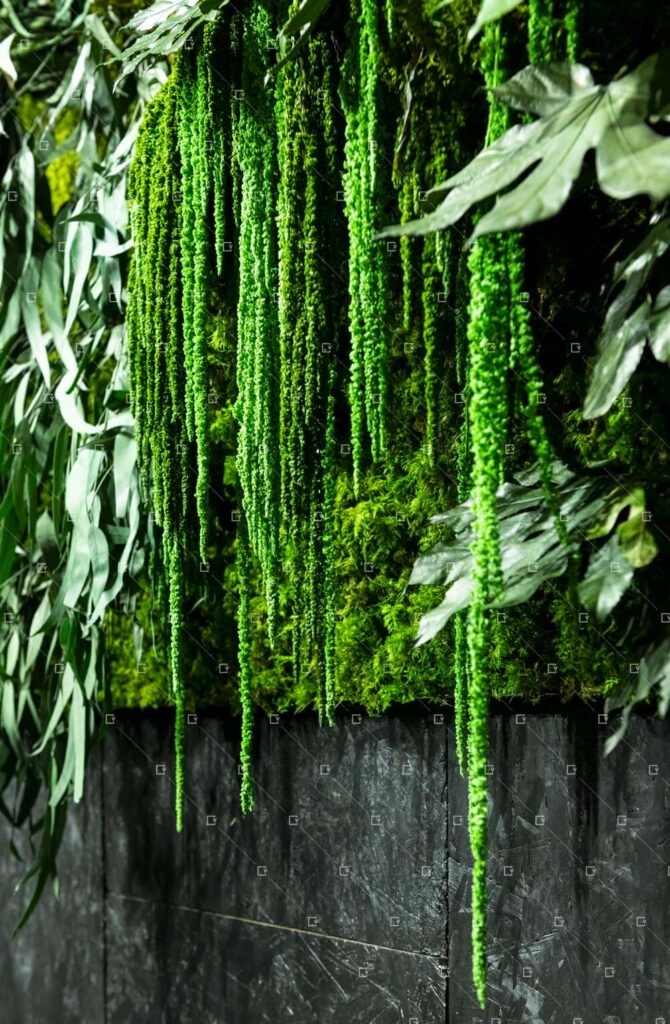 Mur Vegetal Tropical Exotique Decoration Interieure France