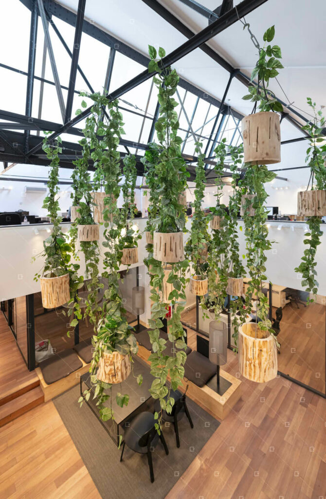 Plafond Vegetal Plantes Suspendue Paris