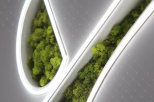 Logo-Vegetal-Sans-Entretien-Entreprise-Rse-France