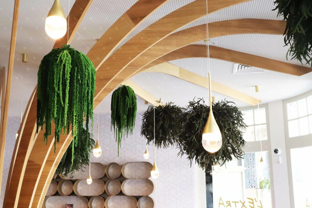 Plafond Vegetal Suspendu Suspensions Vegetales Naturelles