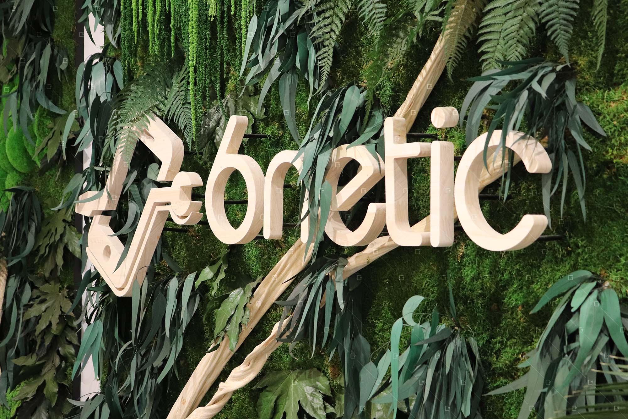 logo-végétal-commerce-bois-plante-sans-entretien-reims