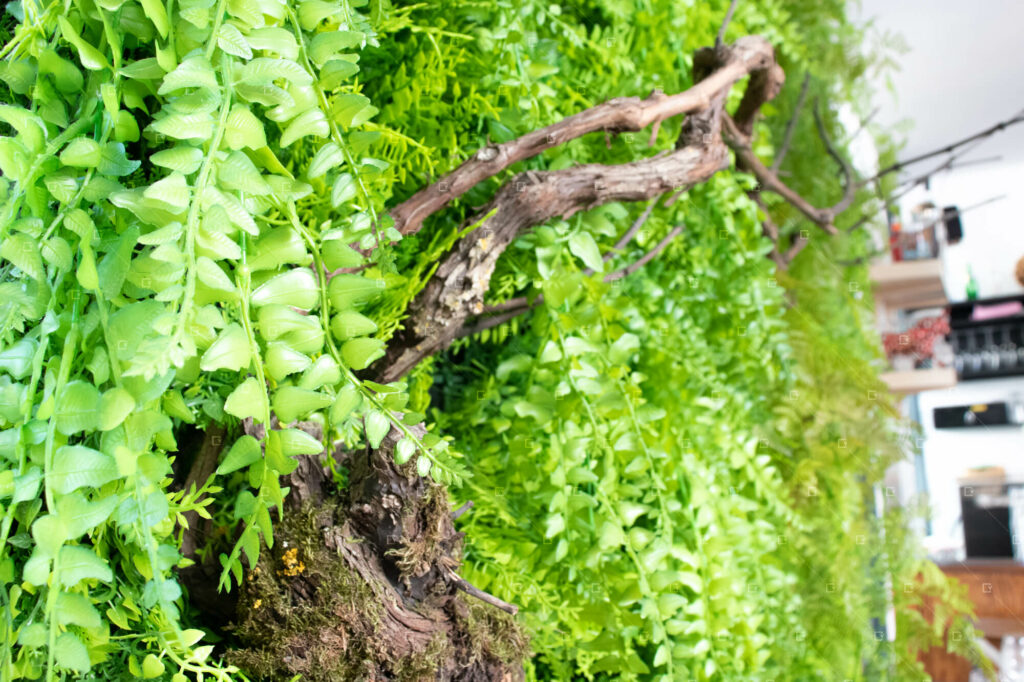 mozza-remois-reims-mur-vegetal-cadre-vert