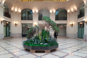 jardiniere-vegetale-interieur-accueil-entreprise-banque-assurance-paris