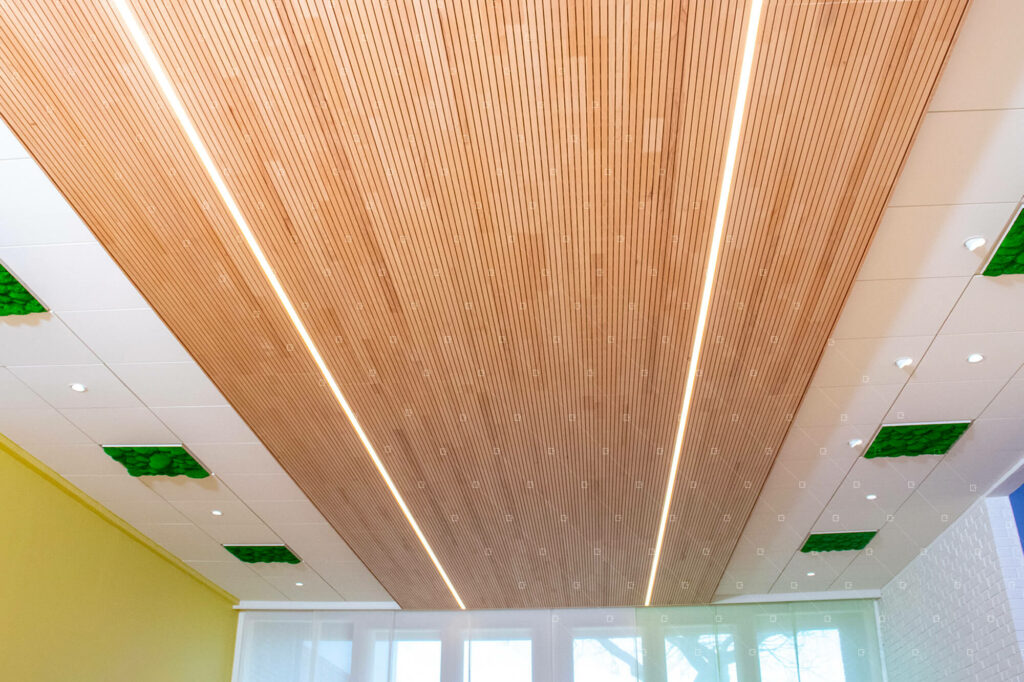 isodecor-cadre-vert-reims-plafond-vegetal-dalle-vegetale