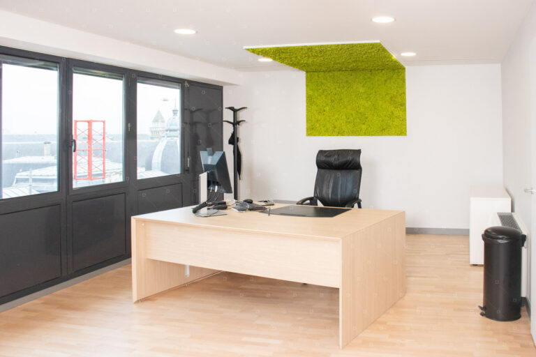 cadre-vert-decoration-murale-naturelle-plafond-lichen