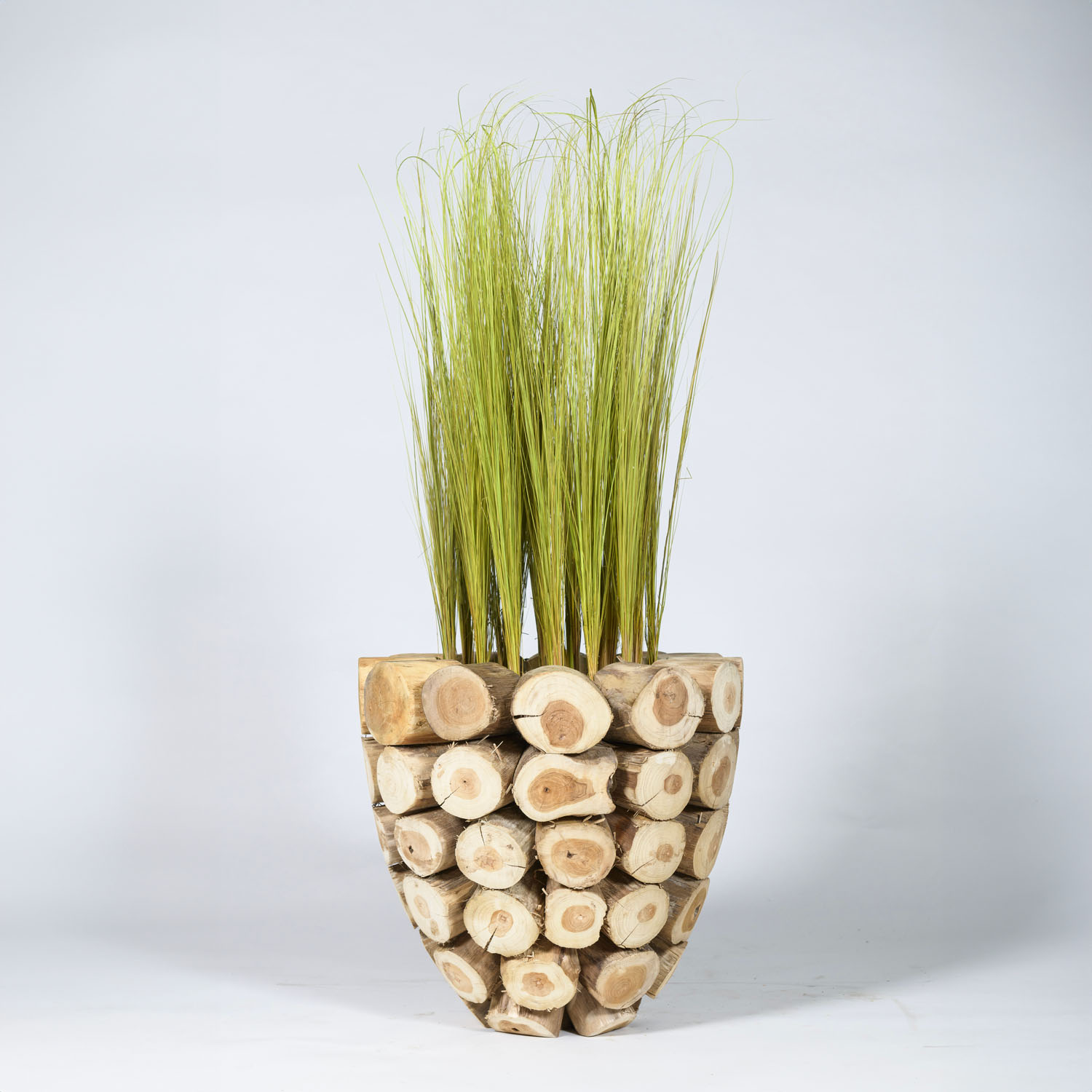 Graminées en pot XL