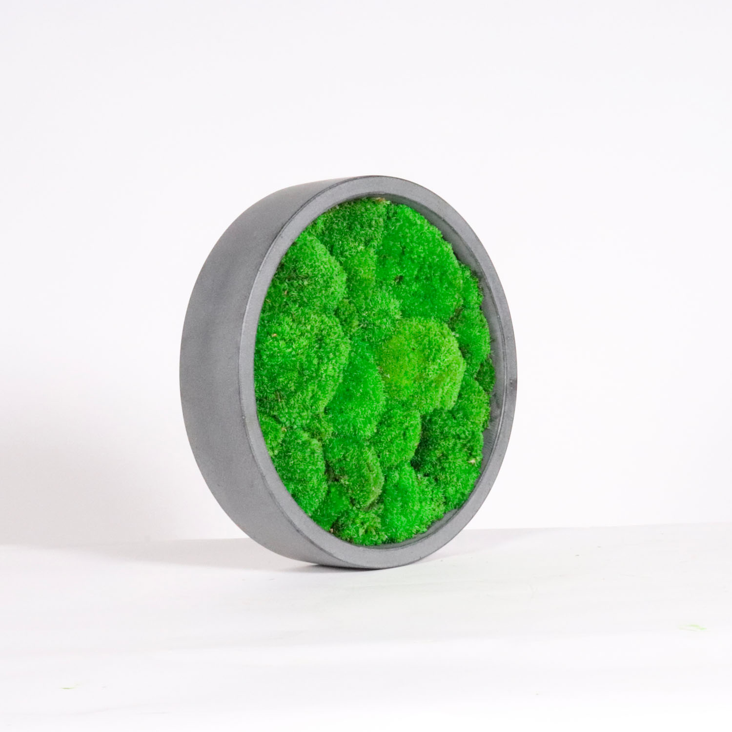 Cadre végétal rond Mousse Boule 30