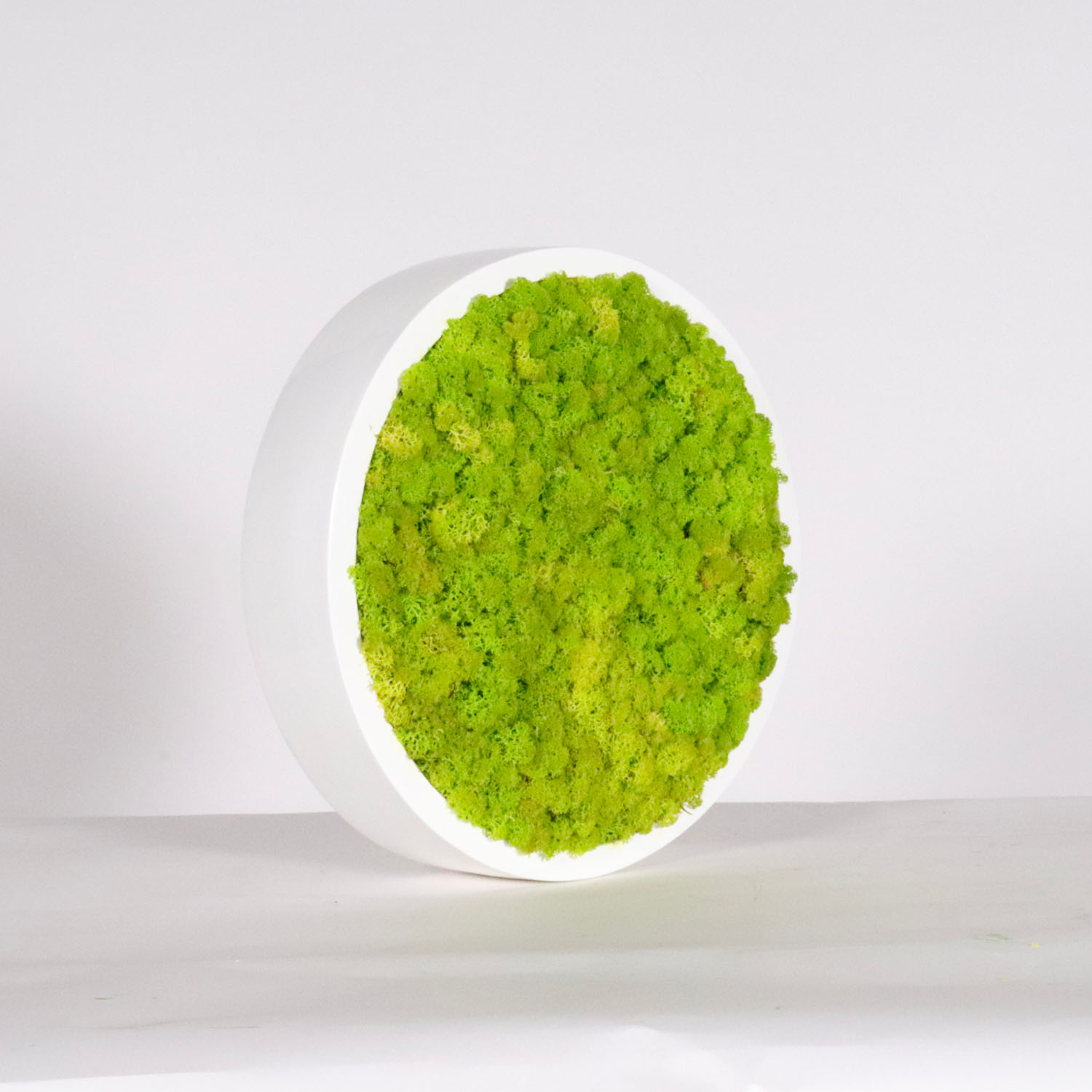 Cadre végétal rond Lichen 30