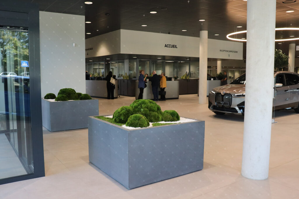 jardiniere-interieur-design-cadre-vert-bmw-mini-luxembourg