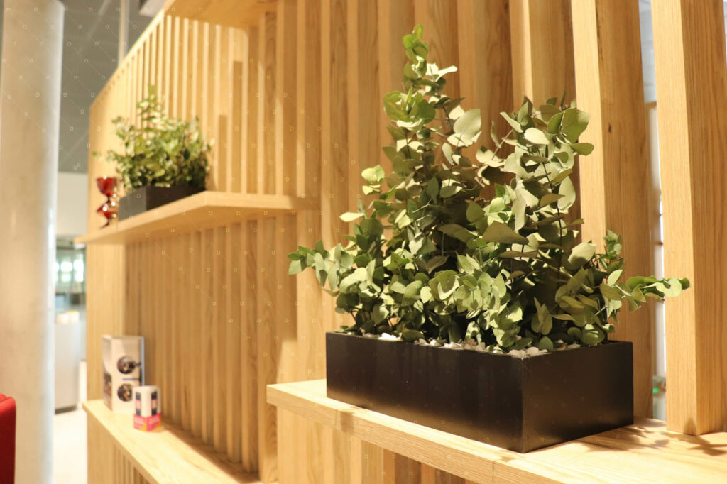jardiniere-interieur-design-biophilie-bmw-mini-luxembourg-cadre-vert-realisation