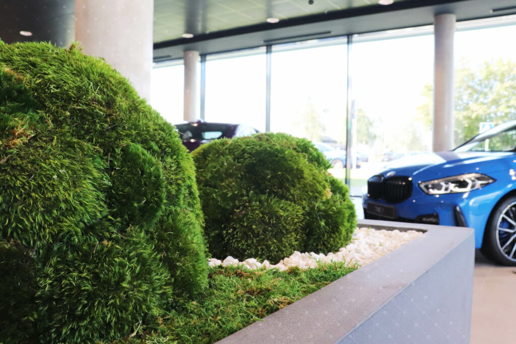 jardiniere-interieur-design-bmw-mini-luxembourg-cadre-vert-design-vegetal