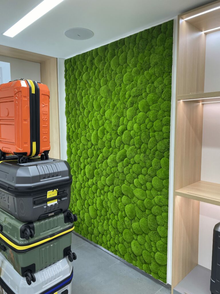 cadre-vert-delsey-actualite-paris-reims-mur-vegetal