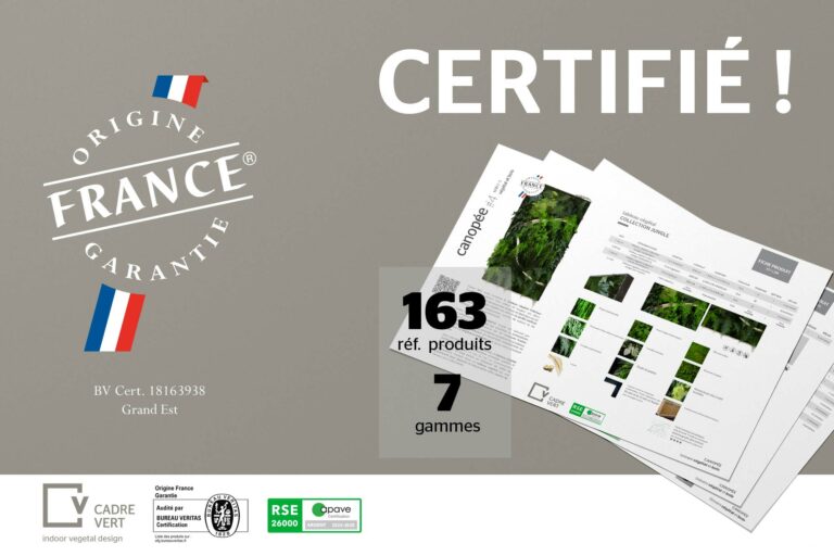 Cadrevert Indoor Actu 29