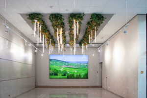 Cadrevert Indoor Caisse Depargne 2 07