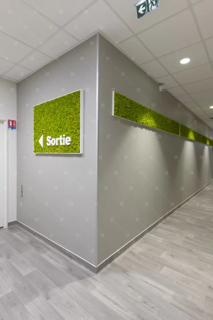 decoration-vegetale-hotel-couloirs-vegetal-sans-entretien-france