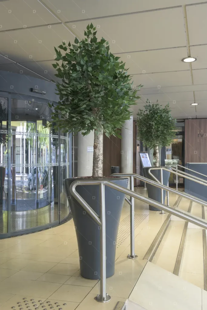 decor-vegetal-accueil-hotel-vegetalisation-sur-mesure