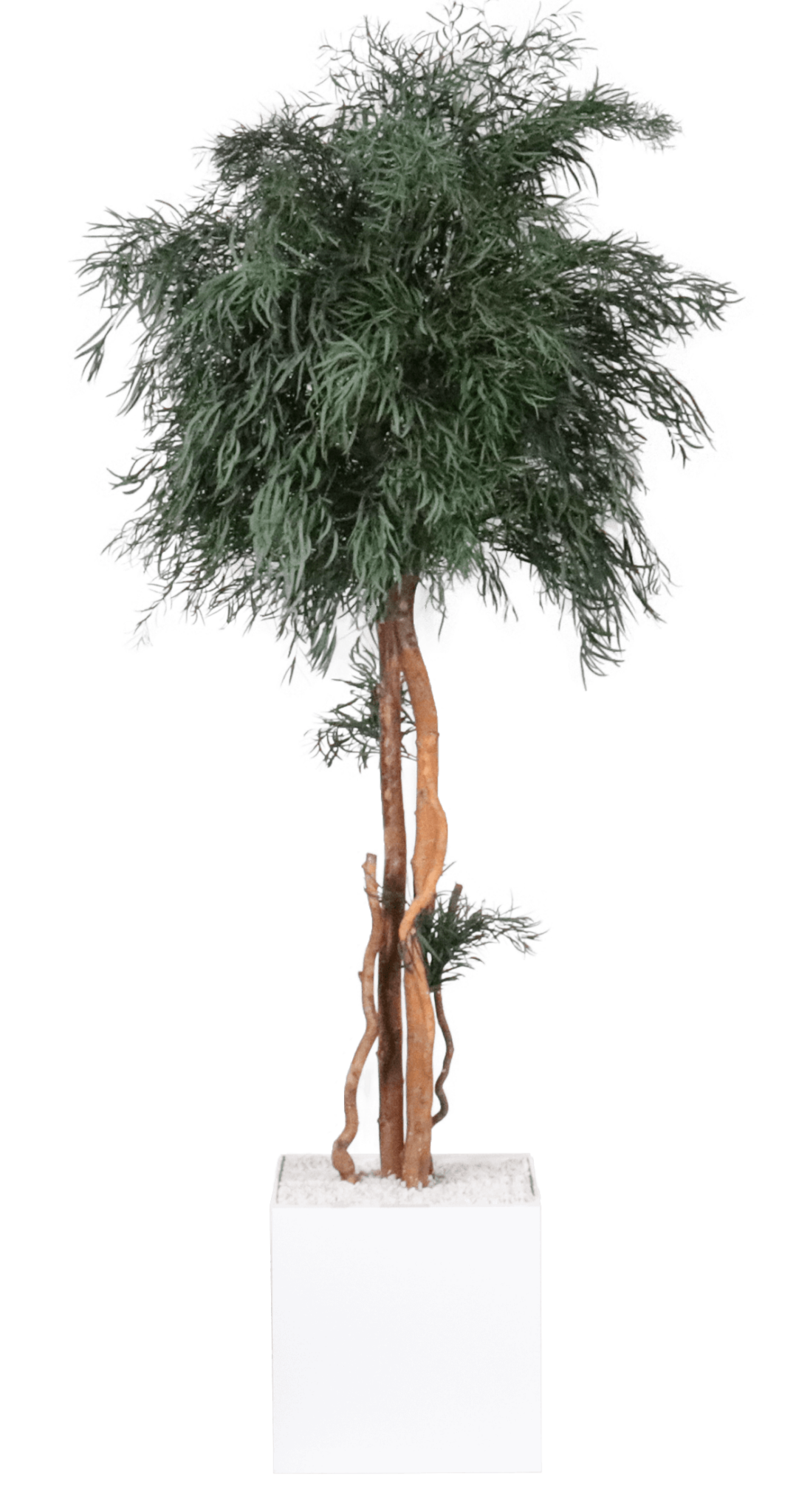 Cadrevert Indoor Produits Woocomerce 22
