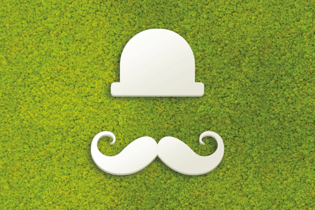 Cadrevert Indoor Actu 62