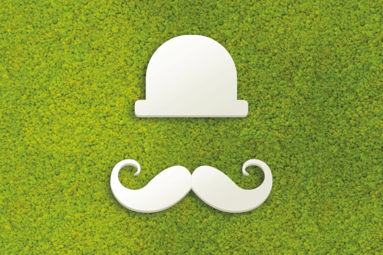 Cadrevert Indoor Actu 62