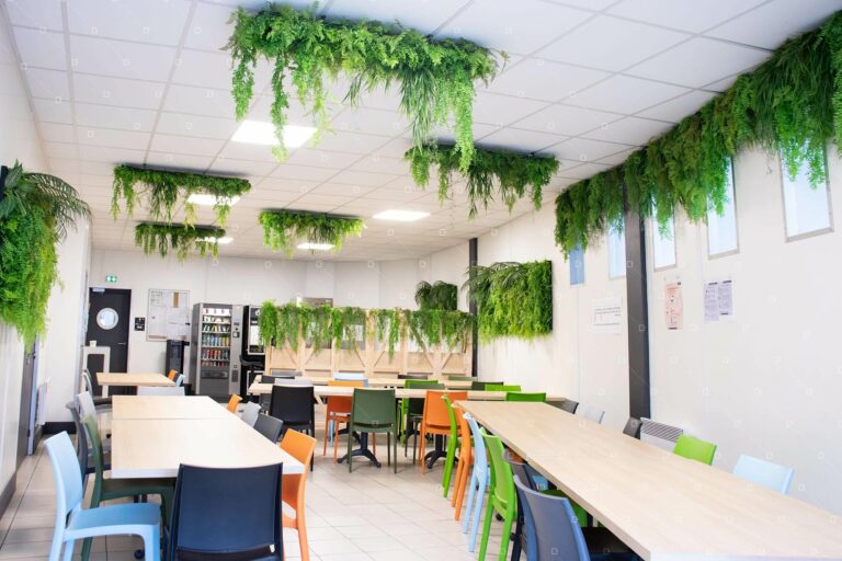 claustra-vegetalise-entreprise-paris-france