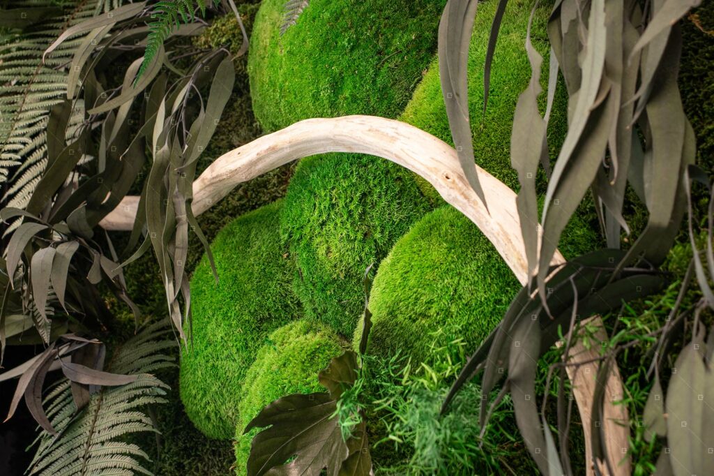 vegetaux-stabilises-salle-de-reunion-entreprise-epernay-reims