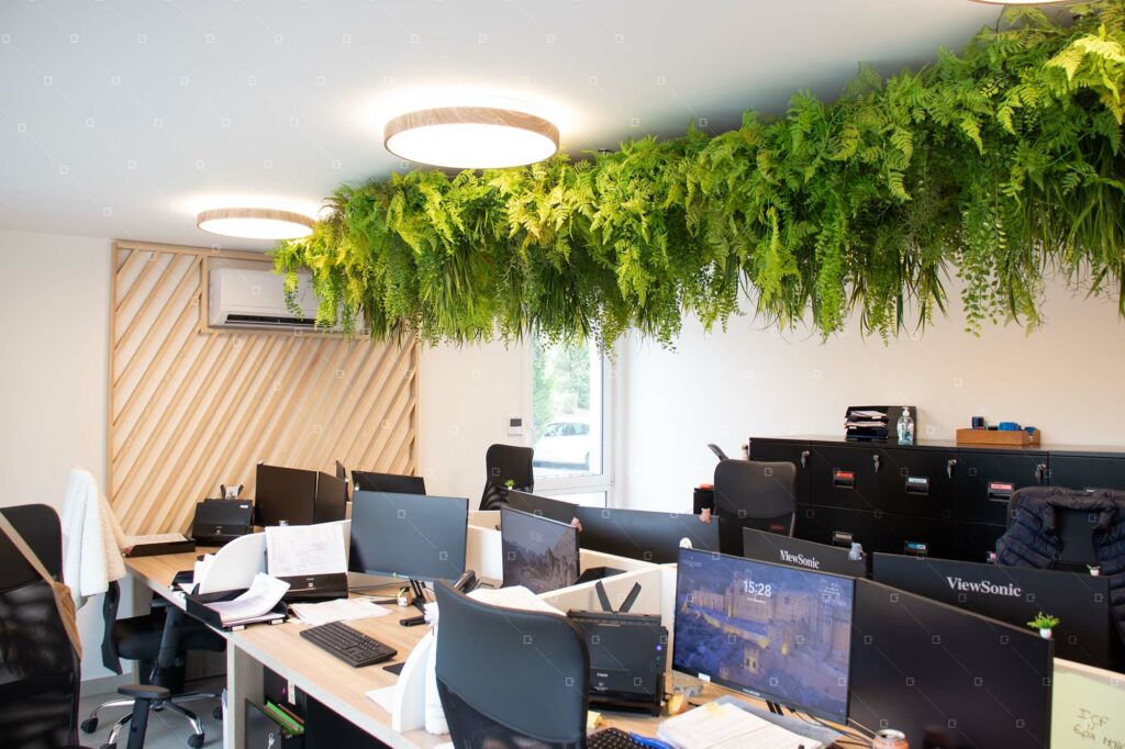 decor-vegetal-interieur-openspace-entreprise-france-reims