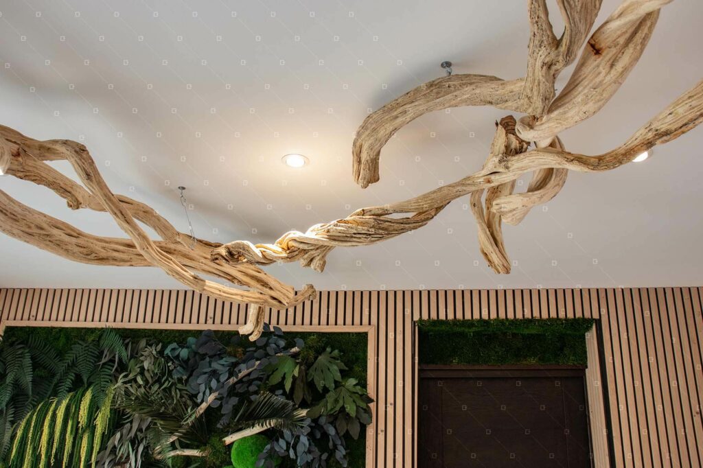 Cadrevert Indoor Atp Services 05