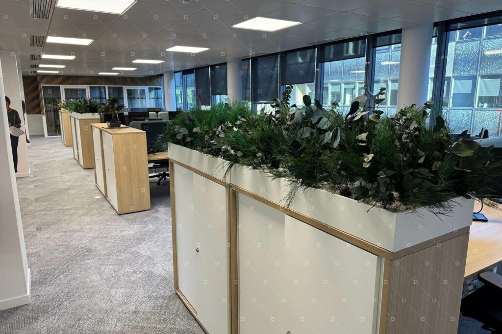 jardiniere-de-bureau-entreprise-paris-ile-de-france