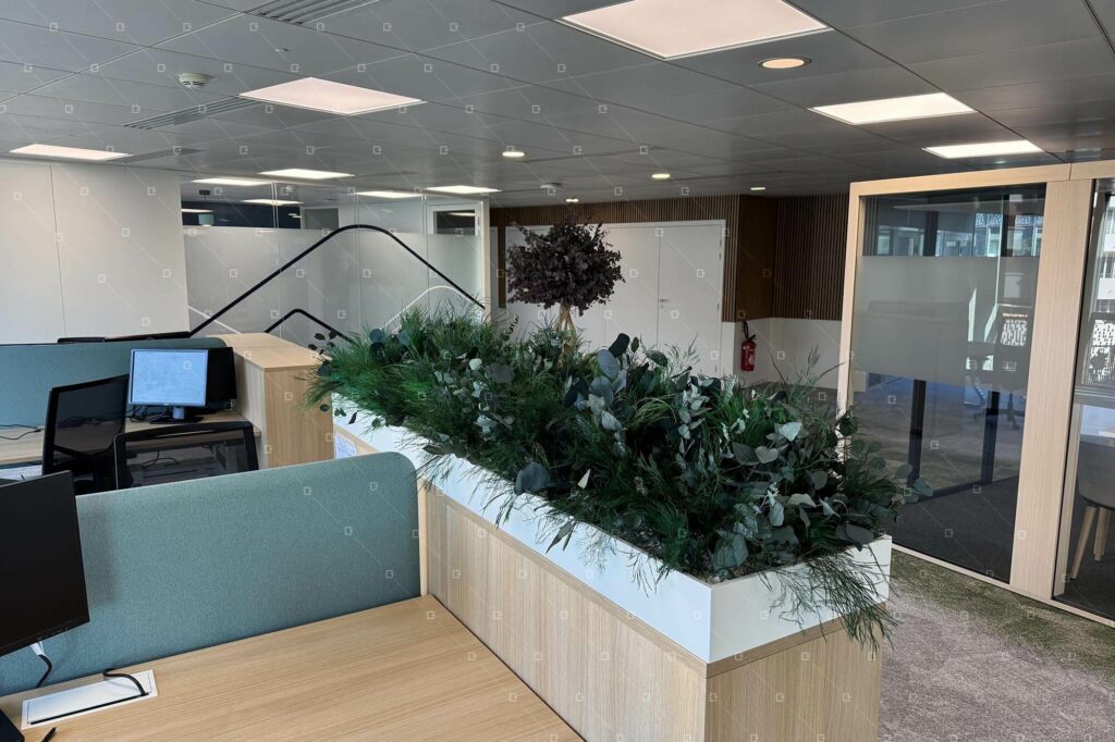 jardiniere-interieure-sans-entretien-openspace-paris