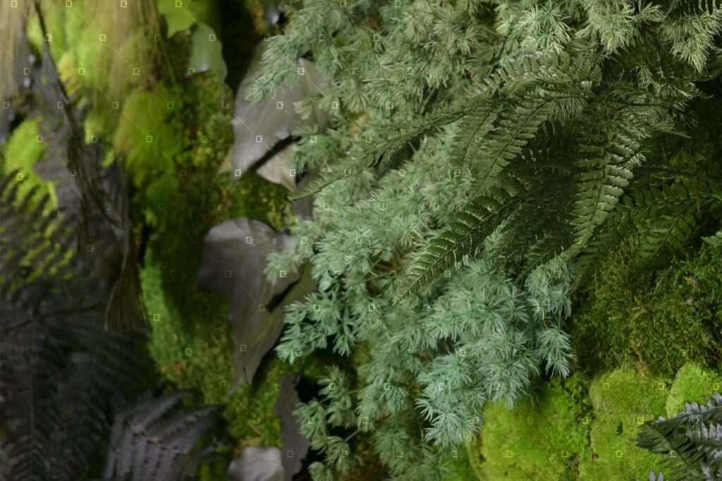 Cadrevert Indoor Actu 66