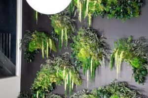 Cadrevert Indoor Lunion 04