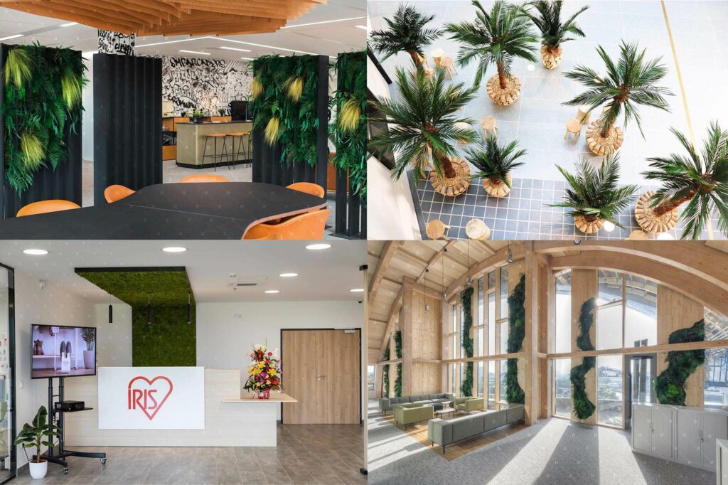 Cadrevert Indoor Actu 67