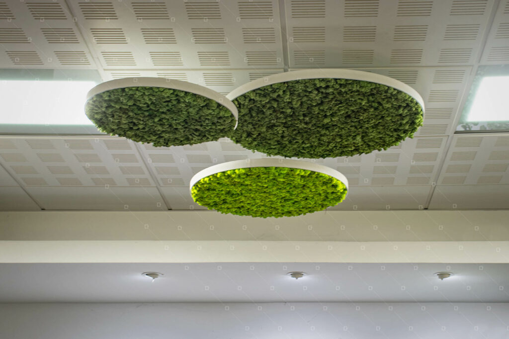 Cadrevert Indoor Actu 68