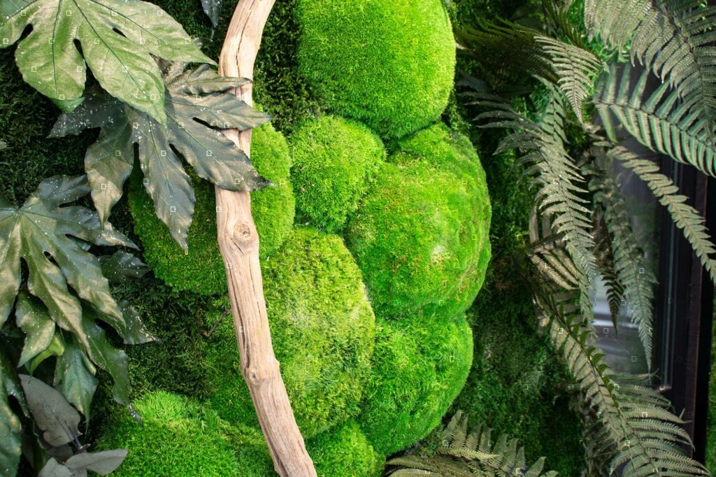 Cadrevert Indoor Cristal Union 05