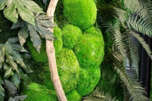 Cadrevert Indoor Cristal Union 05