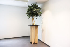 Cadrevert Indoor Actu 70