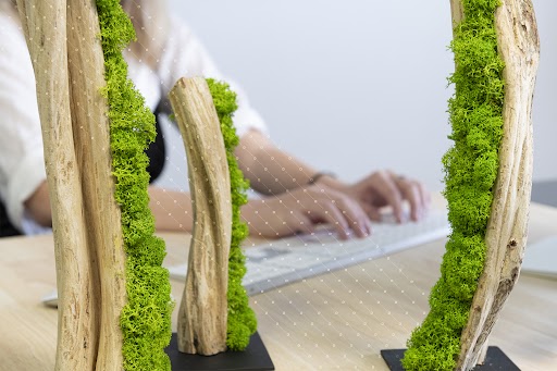 Cadrevert Indoor Actu 71