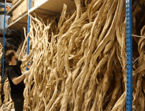 Cadrevert Indoor Actu 81